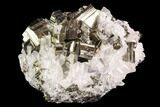 Gleaming Cubic Pyrite Cluster with Quartz - Peru #94383-1